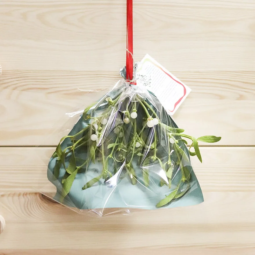 muérdago planta mágica