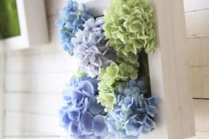 cuadro jardin vertical hortensias