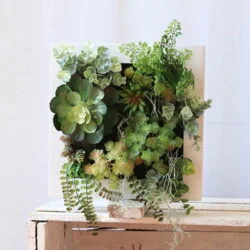 Cuadro de plantas jardin vertical