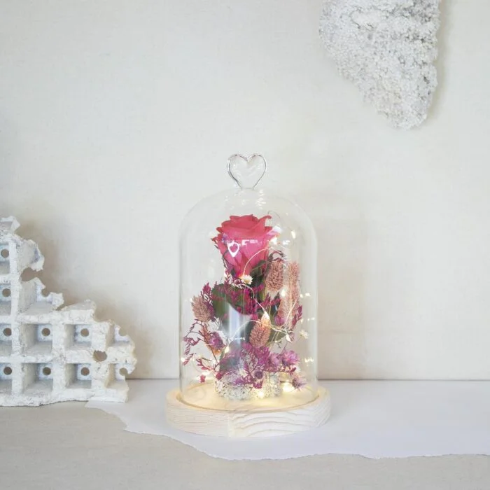 ENAS CORAL_CUPULA_FLOR_PRESERVADA_ANDROMEDA